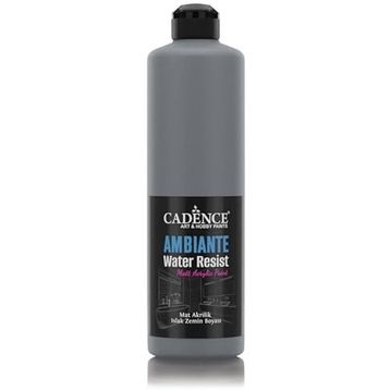 Cadence Ambiante AW22 Grafiti Gri 500 ml Islak Zemin Boyası+20 gr Katalizor