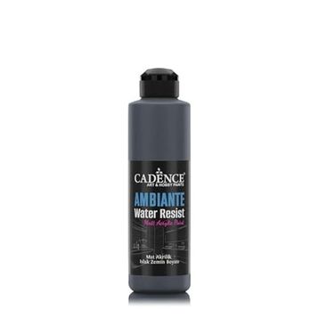 Cadence Ambiante AW23 Antrasit Siyah 250 ml Islak Zemin Boyası+10 gr Katalizor