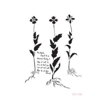 Cadence BN156 Bn Serisisi 25x35 cm Stencil