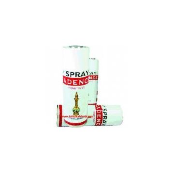 Cadence Cadence Parlak 400 ml Sprey Vernik