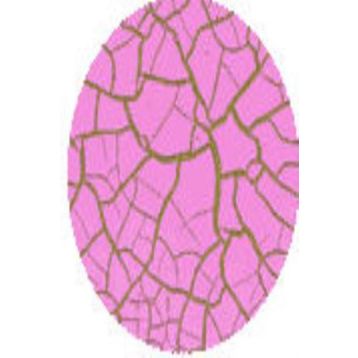 Cadence Crocodile 1012 Pembe Renkli Çatlatma