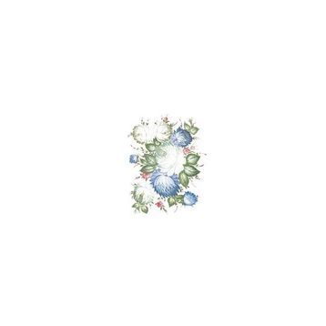 Cadence T223 Oleg Kulakov 25x35 Transfer
