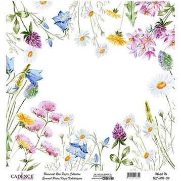 Cadence UC096 Evrensel Pirinç Dekopaj