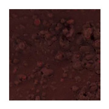 Cadence VL05 Bordo 150 ml Vintage Legend