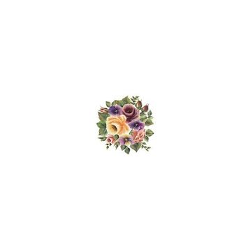 Cadence XL02 35x50 Gülsün Ülkü