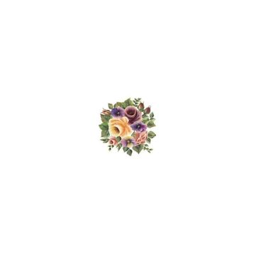 Cadence XL02 35x50 Gülsün Ülkü
