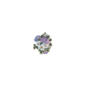 Cadence XL06 35x50 Gülsün Ülkü
