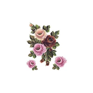 Cadence XL08 35x50 Gülsün Ülkü