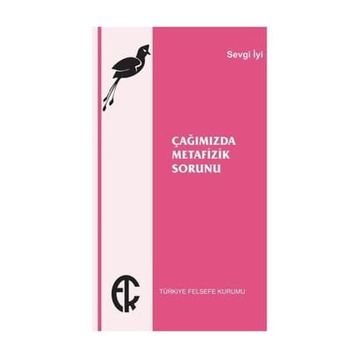 Çağımızda Metafizik Sorunu - Sevgi İyi