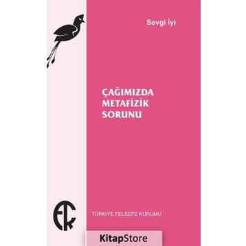 Çağımızda Metafizik Sorunu - Sevgi İyi