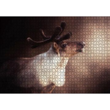 Caka Tablo Beyaz Kahve Rengi Geyik Görseli 1000 Parça Puzzle