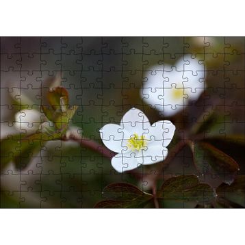 Caka Tablo Beyaz Kırmızı Şarap Üzüm Şarap Küpü Görseli 120 Parça Puzzle