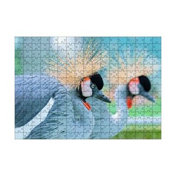 Cakapuzzle Açık Mavi Renkli Tepeli Turna Görseli 120 Parça Ahşap Puzzle