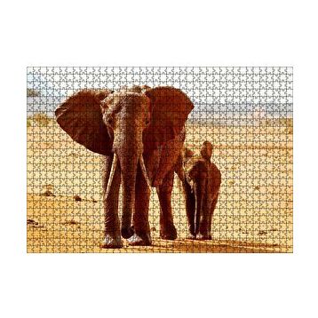 Cakapuzzle Afrika Savanada Anne Fil ve Yavrusu 120 Parça Ahşap Puzzle
