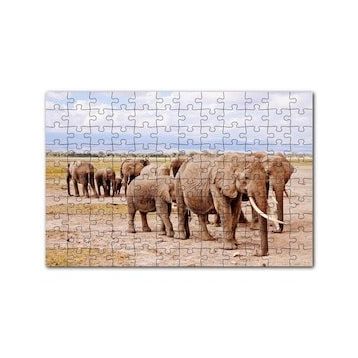 Cakapuzzle Afrika Savanada Filler Bir Arada 120 Parça Ahşap Puzzle