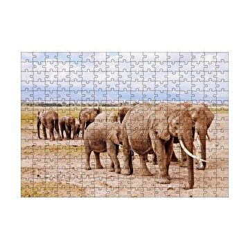 Cakapuzzle Afrika Savanada Filler Bir Arada 120 Parça Ahşap Puzzle