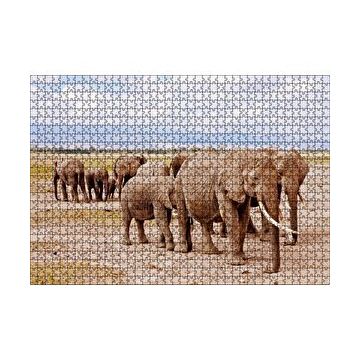 Cakapuzzle Afrika Savanada Filler Bir Arada 120 Parça Ahşap Puzzle