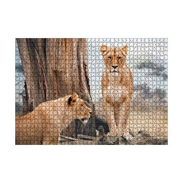 Cakapuzzle Afrika Savanında Dişi Aslan Görseli 120 Parça Ahşap Puzzle