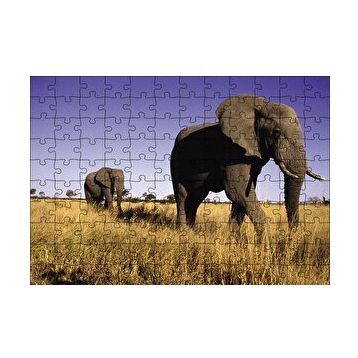 Cakapuzzle Afrikadaki İkili Filler 120 Parça Ahşap Puzzle