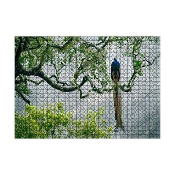 Cakapuzzle Ağaç Dalındaki Hint Tavuskuşu 120 Parça Ahşap Puzzle