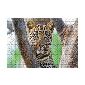 Cakapuzzle Ağaç Dallarında Genç Leopar 120 Parça Ahşap Puzzle