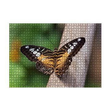 Cakapuzzle Ağaç Üzerinde Sarı Siyah Kelebek 120 Parça Ahşap Puzzle