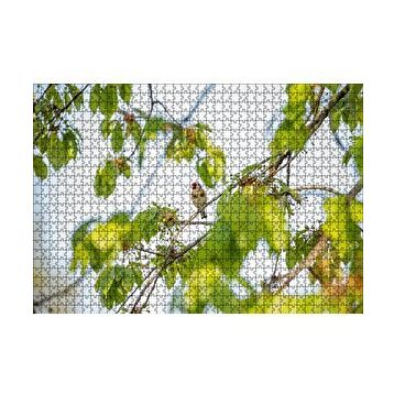 Cakapuzzle Ağacın Dalları Arasındaki Kırmızı Yüzlü Kuş 120 Parça Ahşap Puzzle