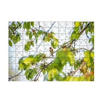 Cakapuzzle Ağacın Dalları Arasındaki Kırmızı Yüzlü Kuş 120 Parça Ahşap Puzzle