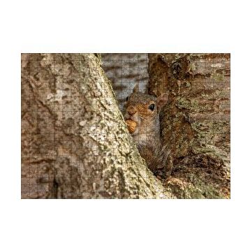 Cakapuzzle Ağacın Dalları Arasındaki Sincap 120 Parça Ahşap Puzzle