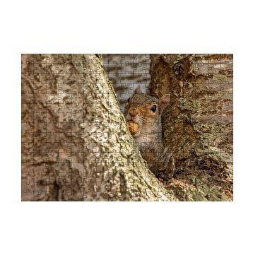 Cakapuzzle Ağacın Dalları Arasındaki Sincap 120 Parça Ahşap Puzzle
