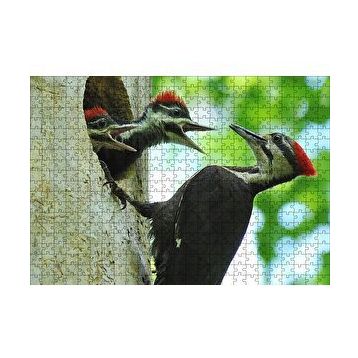 Cakapuzzle Ağaçkakan ve Yuvada Aç Yavruları 120 Parça Ahşap Puzzle