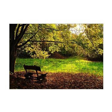 Cakapuzzle Ağaçlar ve Koyu Gölgedeki Ahşap Bank 120 Parça Ahşap Puzzle