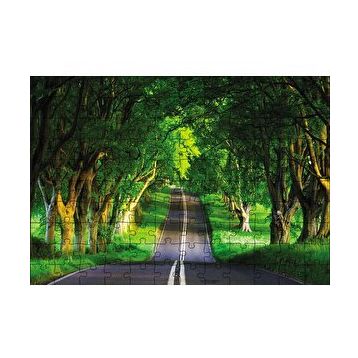Cakapuzzle Ağaçlar Ve Yol 120 Parça Ahşap Puzzle