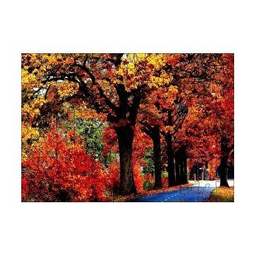 Cakapuzzle Ağaçlı Yol ve Sonbahar Yaprakları 120 Parça Ahşap Puzzle