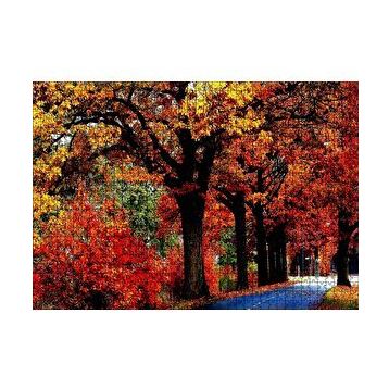 Cakapuzzle Ağaçlı Yol ve Sonbahar Yaprakları 120 Parça Ahşap Puzzle