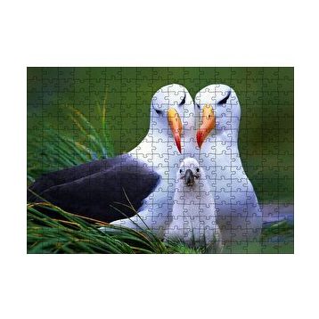 Cakapuzzle Albatross Kuşu Ailesi 120 Parça Ahşap Puzzle