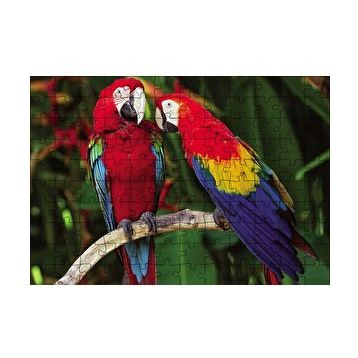 Cakapuzzle Amazon Papaganı 120 Parça Ahşap Puzzle