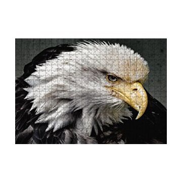 Cakapuzzle Amerikan Kartalı Makro Çekim Puzzle