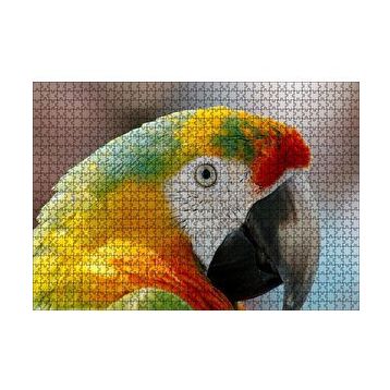 Cakapuzzle Amerikan Papağanı 120 Parça Ahşap Puzzle