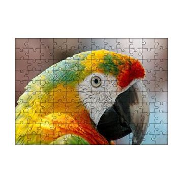 Cakapuzzle Amerikan Papağanı 120 Parça Ahşap Puzzle