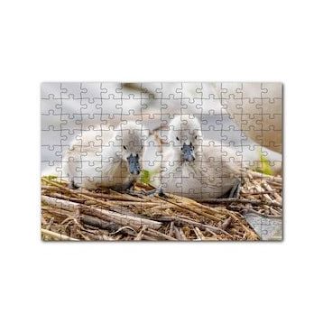 Cakapuzzle Anne Altında İki Sevimli Kuğu Yavrusu 120 Parça Ahşap Puzzle