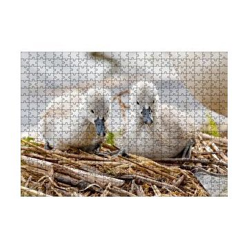 Cakapuzzle Anne Altında İki Sevimli Kuğu Yavrusu 120 Parça Ahşap Puzzle