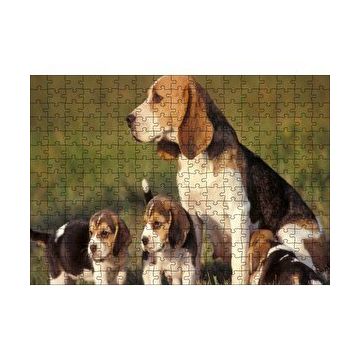 Cakapuzzle Anne Beagle ve Sevimli Yavruları 120 Parça Ahşap Puzzle