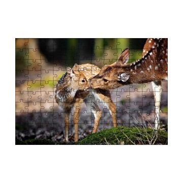 Cakapuzzle Anne Karaca ve Yavrusu 120 Parça Ahşap Puzzle