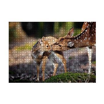 Cakapuzzle Anne Karaca ve Yavrusu 120 Parça Ahşap Puzzle