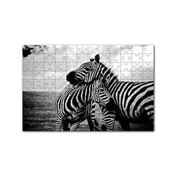 Cakapuzzle Anne Zebra ve Yavrusu Siyah Beyaz 120 Parça Ahşap Puzzle