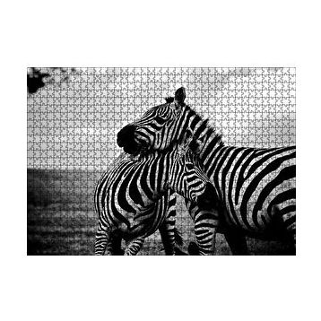 Cakapuzzle Anne Zebra ve Yavrusu Siyah Beyaz 120 Parça Ahşap Puzzle