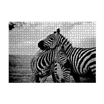 Cakapuzzle Anne Zebra ve Yavrusu Siyah Beyaz 120 Parça Ahşap Puzzle