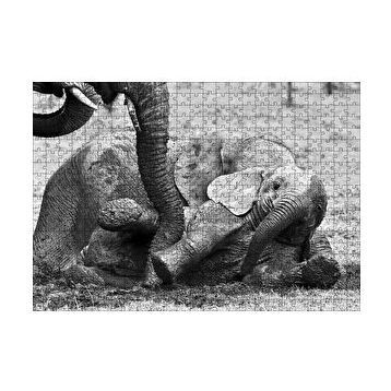 Cakapuzzle Annesiyle Çamurda Oynayan Yavru Fil Siyah Beyaz 120 Parça Ahşap Puzzle