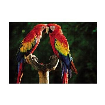 Cakapuzzle Aşık Papaganlar 120 Parça Ahşap Puzzle